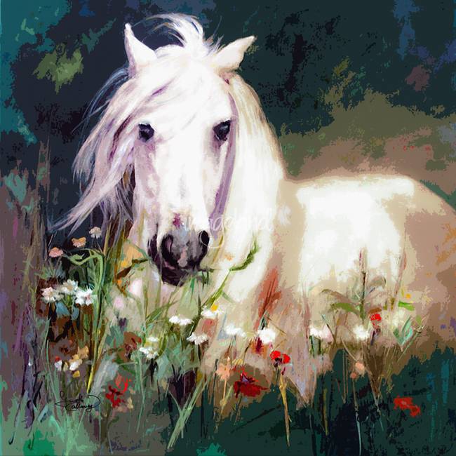 650x650 White Horse In Poppies Modern Equine Art By Ginette Callaway - White Horse Painting