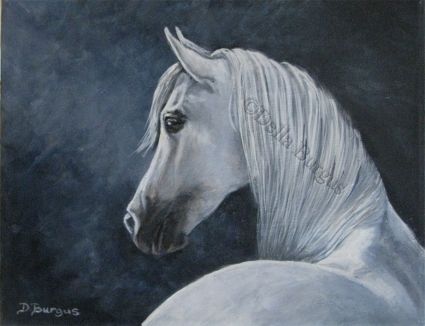 425x326 Equine Art White Horse By Della Burgus , Painting By Artist Art - White Horse Painting
