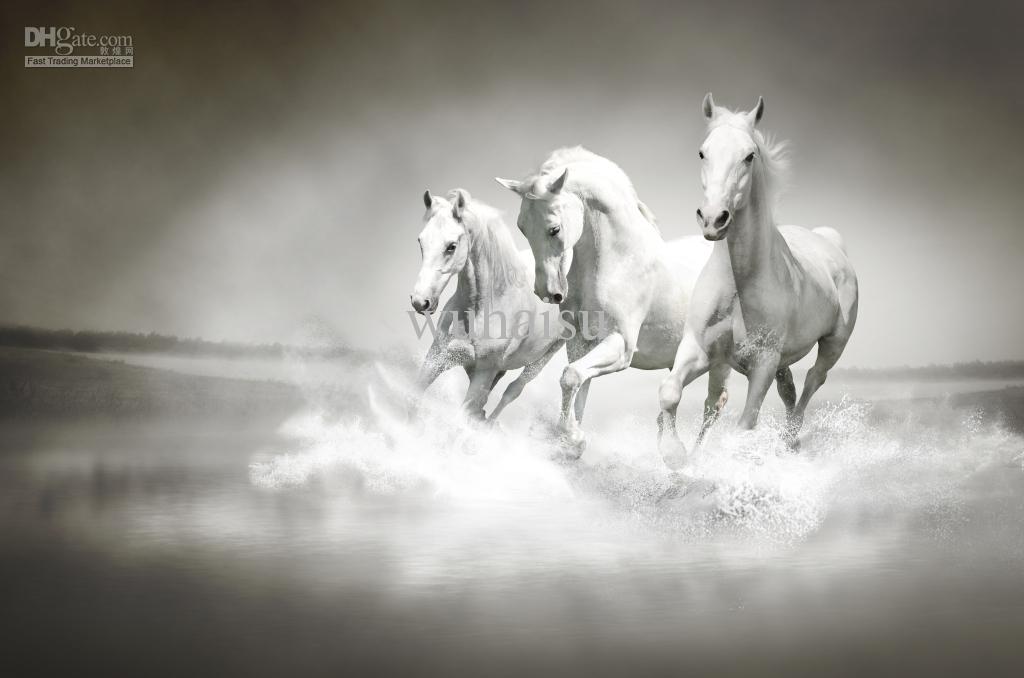 1024x678 2018 Hot Selling Hd Print Oil Painting On Canvas White Horse - White Horse Painting On Canvas