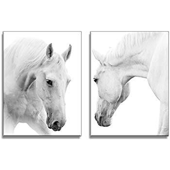 350x350 Royllent - White Horse Painting On Canvas