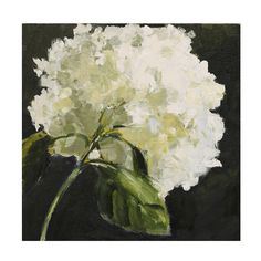 White Hydrangea Painting at PaintingValley.com | Explore collection of ...