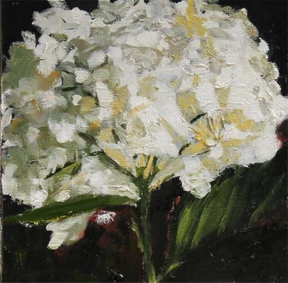 580x569 Giveaway Hydrangea Painting By Hilda Oomen The Interior Diyer - White Hydrangea Painting