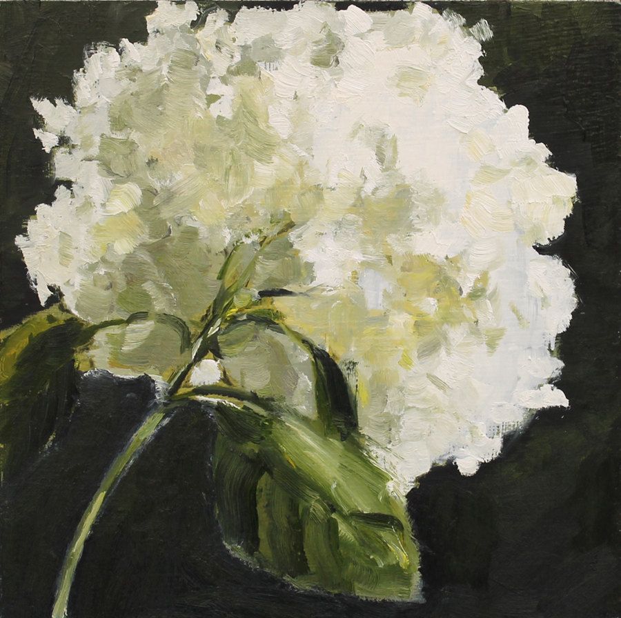 900x896 Paintings White Hydrangeas - White Hydrangea Painting