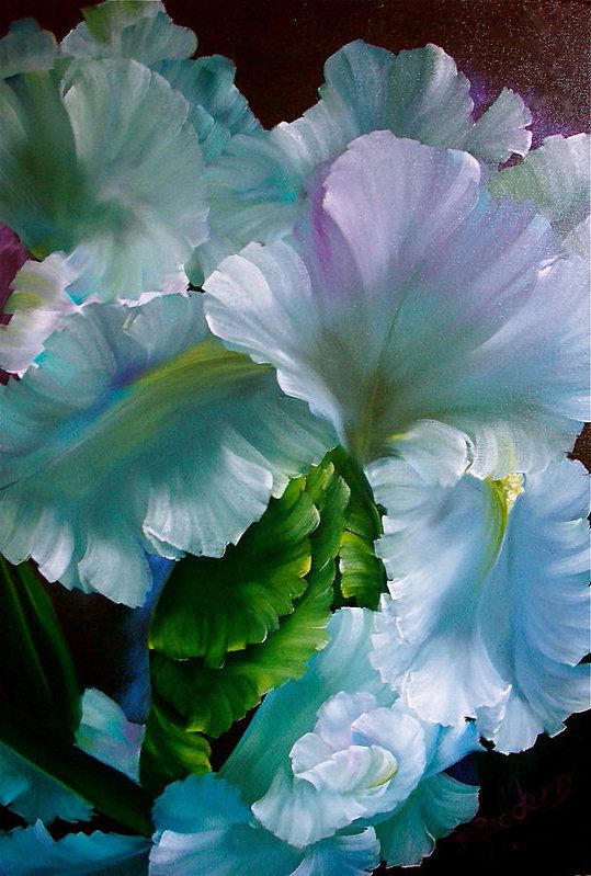 539x799 Mystical White Iris Painting By Michael Giddens Painting Ideas 2 - White Iris Painting