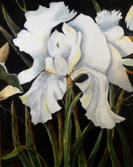 511x640 Pamela Van Laanen - White Iris Painting