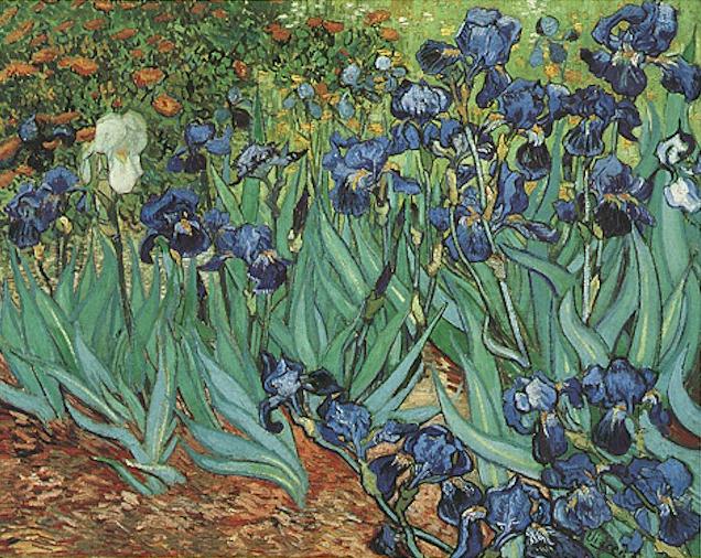 636x506 Vincent Van Gogh The Paintings (Irises) - White Iris Painting