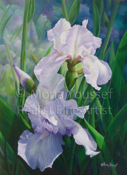 419x576 White Iris, Realism Oil Painting, Mona Youssef, International Fine - White Iris Painting