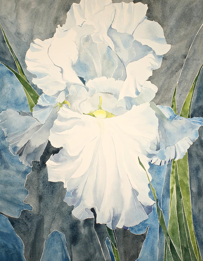 700x900 White Iris - White Iris Painting