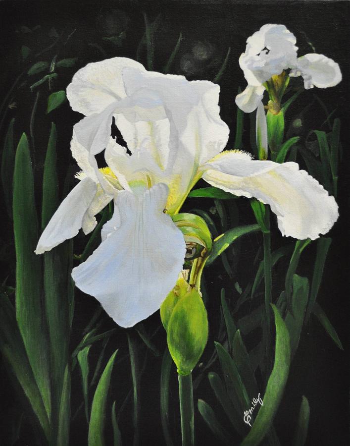 White Iris Painting at PaintingValley.com | Explore collection of White ...