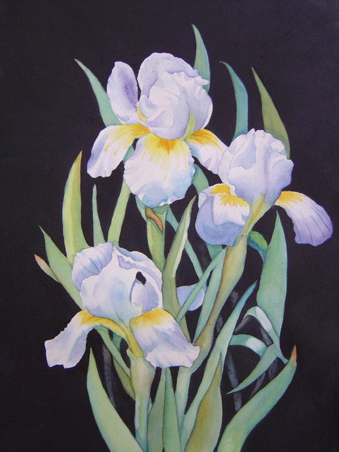 675x900 White Iris Painting By Teresa Boston - White Iris Painting