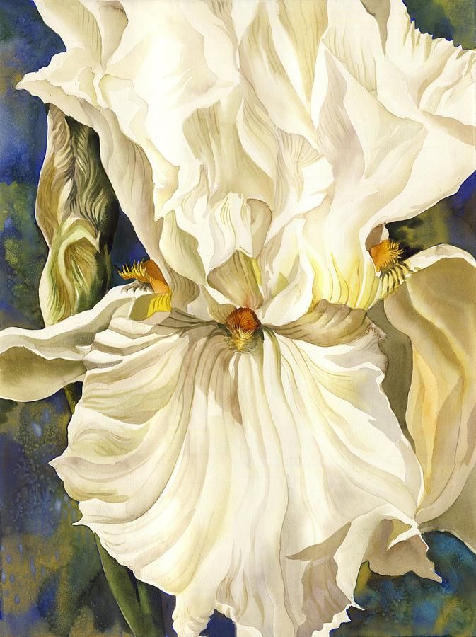 673x900 White Iris With Blue Painting By Alfred Ng Iris Art - White Iris Painting