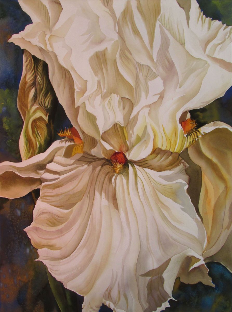 893x1200 White Iris With Blue (Alfred Ng) - White Iris Painting