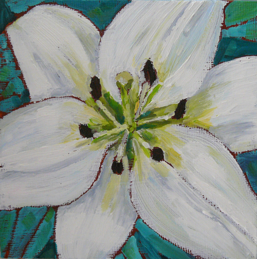 500x505 Oil Paintings By Barbara Pearn White Lily - White Lily Painting