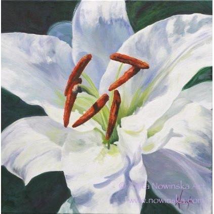 423x423 Pure Original Painting Acrylic On Canvas White Lily, Flower - White Lily Painting