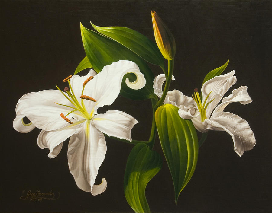 900x706 White Lilies Painting By Gary Hernandez - White Lily Painting