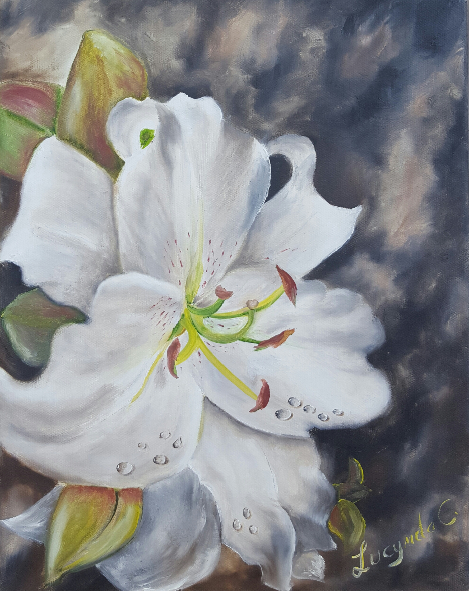 1977x2493 White Lily, Oil 11x14 - White Lily Painting