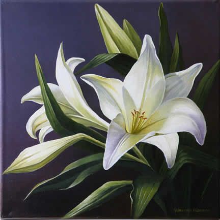 432x433 White Lily, Oil Painting. Varvara Harmon Oil - White Lily Painting