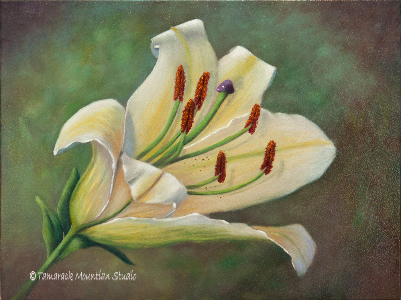 1400x1046 White Lily 1 Original Oil Painting - White Lily Painting