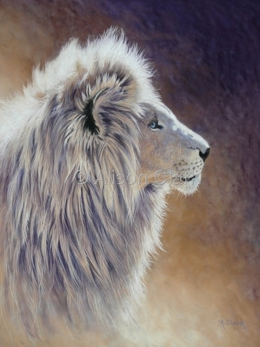 375x500 White Lions Whitelionwisdom - White Lion Painting