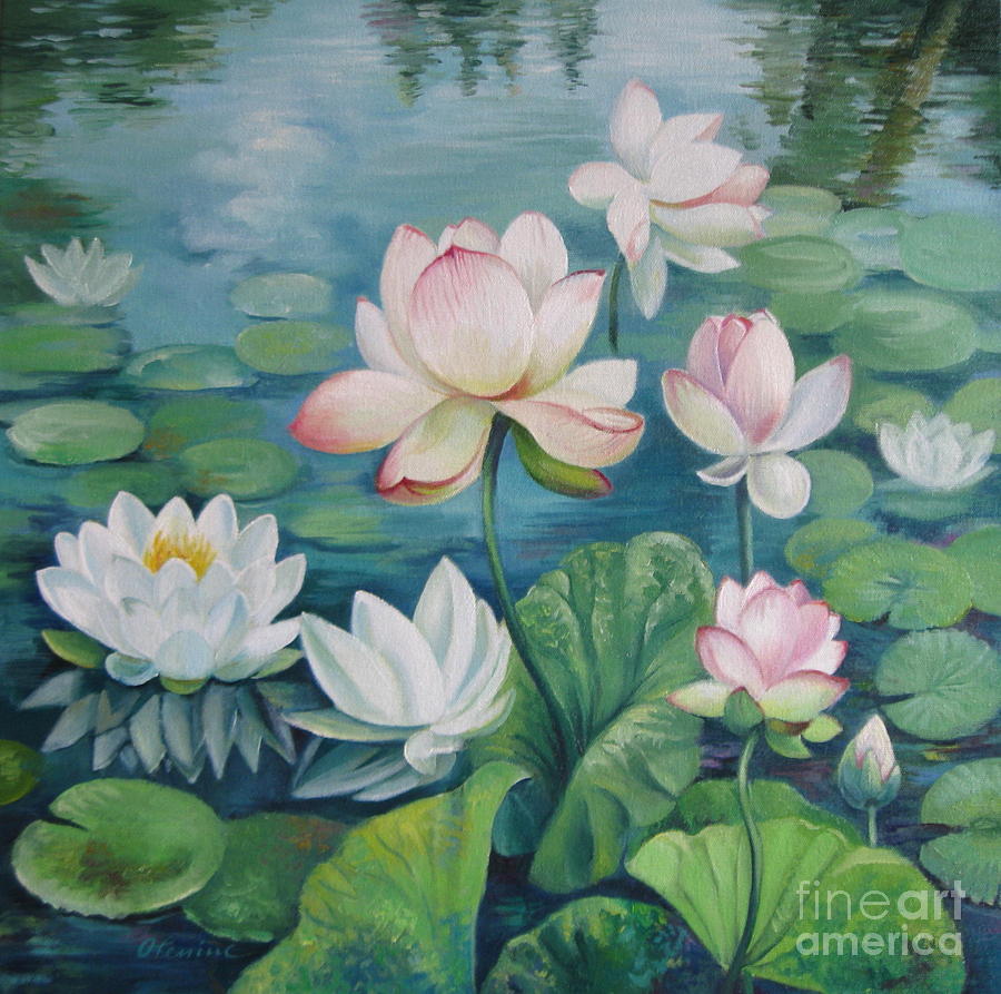 White Lotus Flower Painting at PaintingValley.com | Explore collection ...