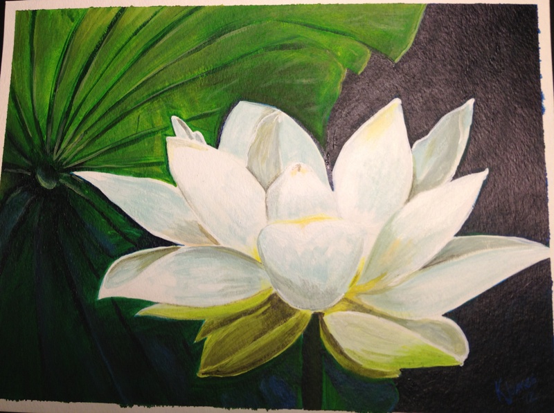 800x597 New Katherine M James - White Lotus Flower Painting
