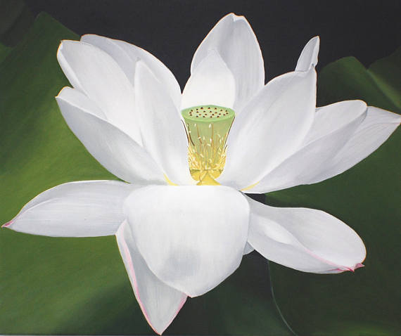 570x478 White Lotus Flower Painting Zen Decor Large Floral Wall Art - White Lotus Flower Painting