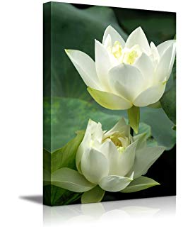 276x320 Beautiful White Lotus Flower Painting Canvas Wall Art - White Lotus Flower Painting
