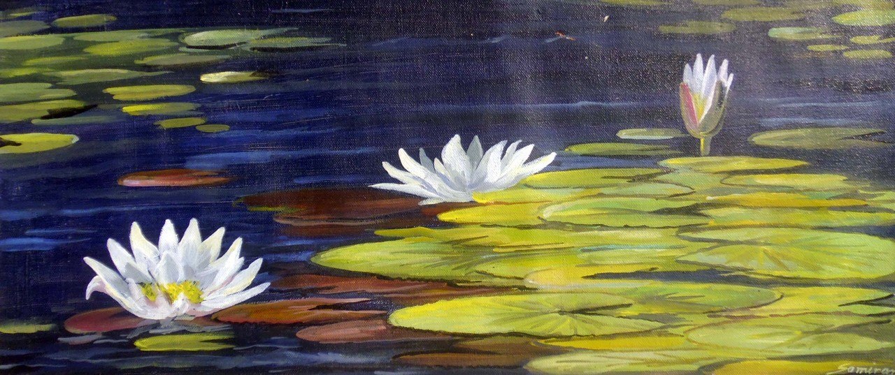 1280x537 Buy White Lotus On Pond Handmade Painting By Samiran Sarkar. Code - White Lotus Flower Painting