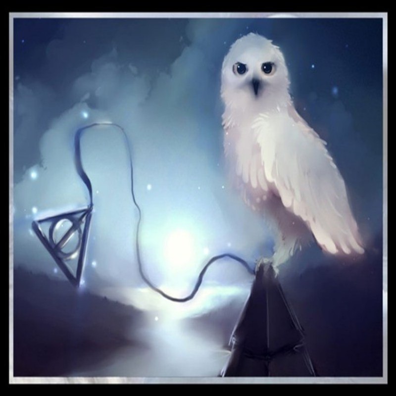 White Owl Painting