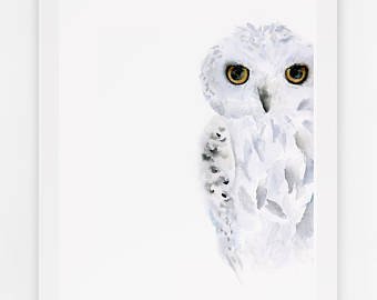 340x270 Owl Watercolor Etsy - White Owl Painting