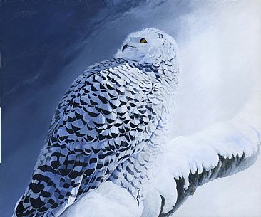 366x305 Snowy Owl - White Owl Painting