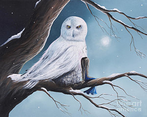 300x240 Snowy Owl Paintings Fine Art America - White Owl Painting