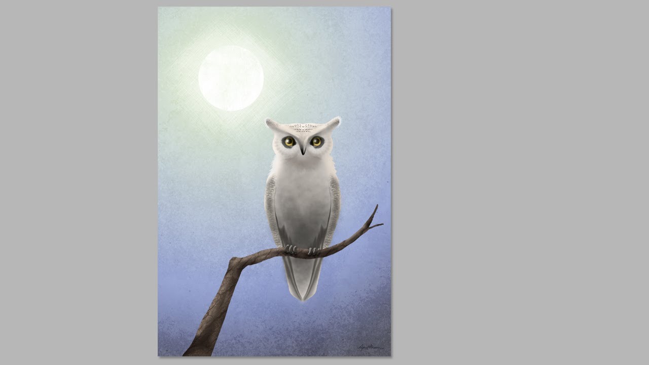 1280x720 White Owl Digital Speed Painting Hd - White Owl Painting