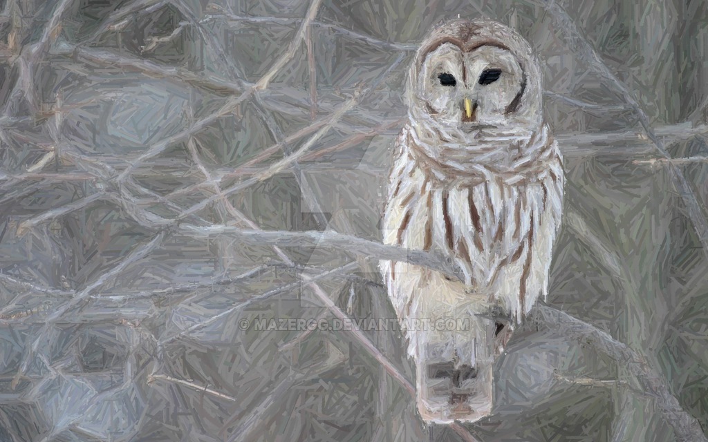 1024x640 White Owl Painting By Mazergg - White Owl Painting