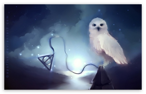 510x330 White Owl Painting 4k Hd Desktop Wallpaper For 4k Ultra Hd Tv - White Owl Painting