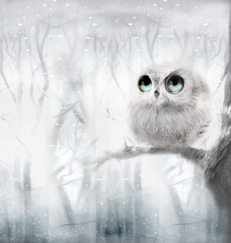 800x841 White Owl By Janaalus - White Owl Painting