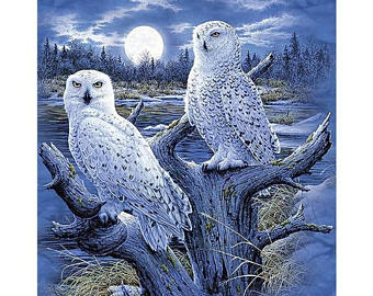 340x270 White Owl Painting Etsy - White Owl Painting