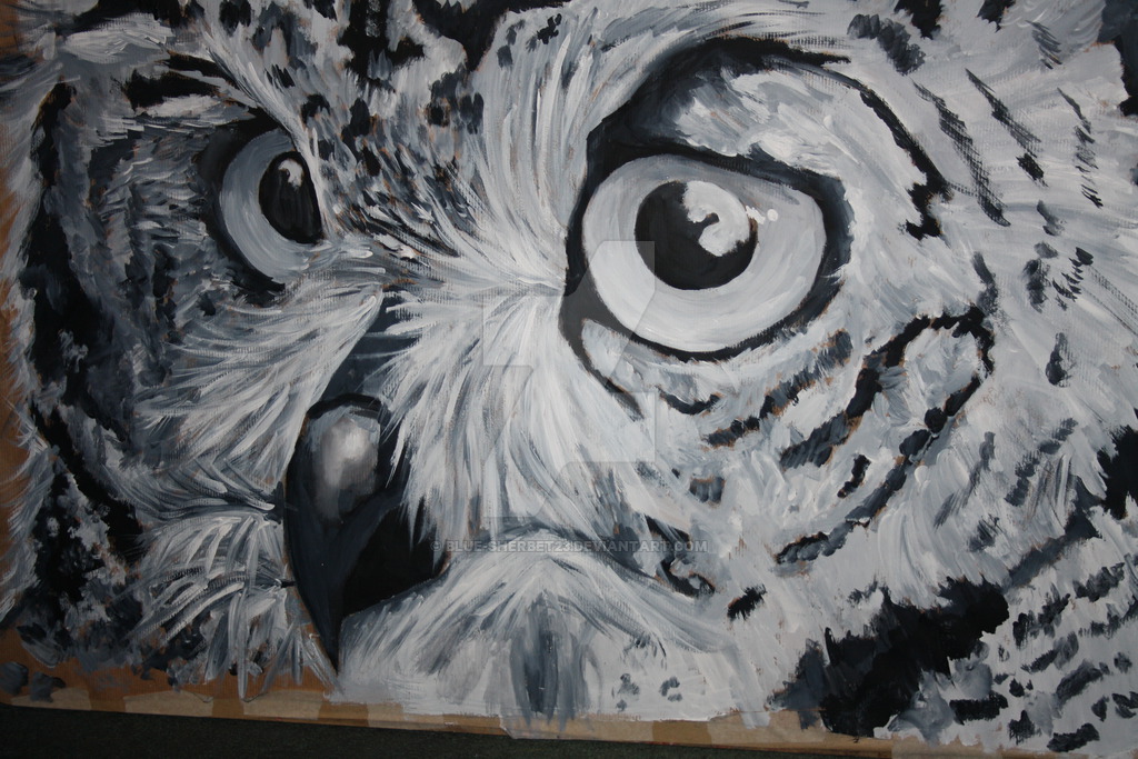 1024x683 Black And White Owl By Blue Sherbet23 - White Owl Painting