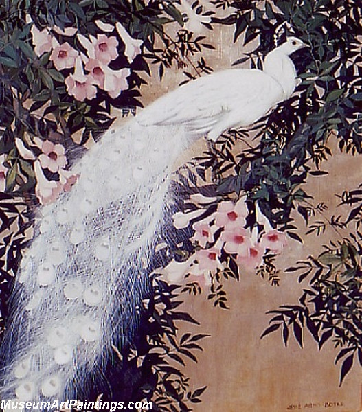 527x600 Peacock Paintings The White Peacock - White Peacock Painting