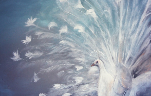596x380 Wallpaper Bird, Feathers, Tail, Peacock, Painting, White Peacock - White Peacock Painting