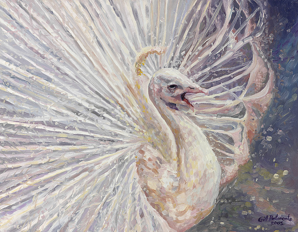 600x468 White Peacock Painting By Gill Bustamante - White Peacock Painting