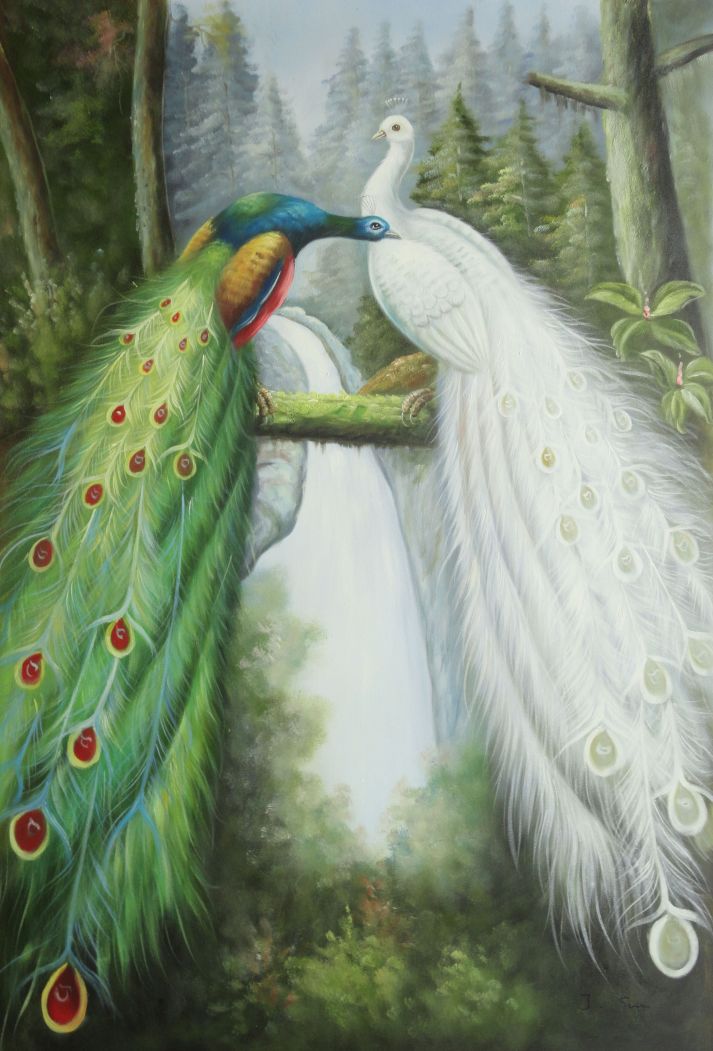 713x1051 Beautiful Blue And White Peacocks - White Peacock Painting