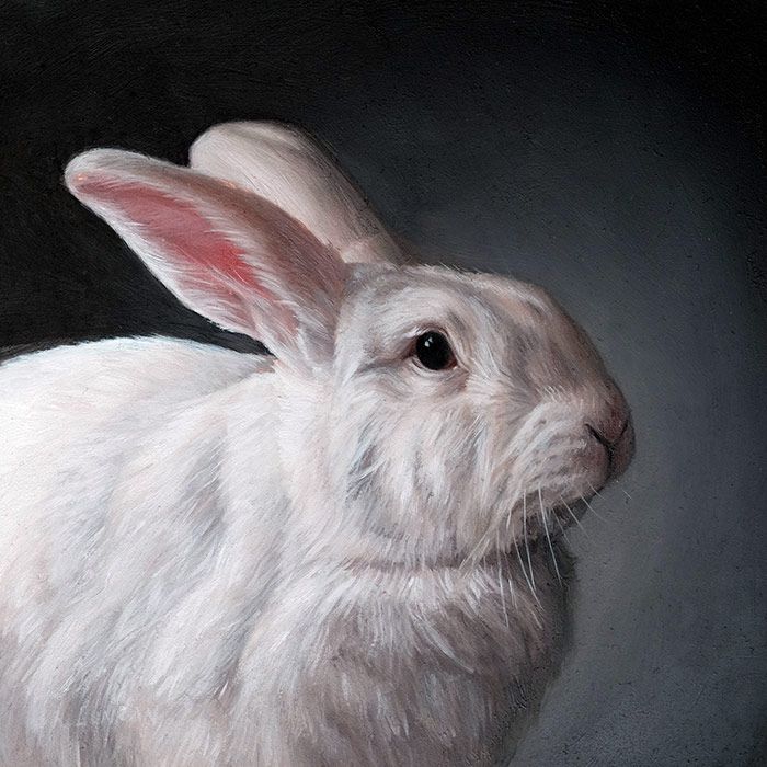 700x700 The White Rabbit, Oil Painting Miniature By Rebecca Luncan - White Rabbit Painting