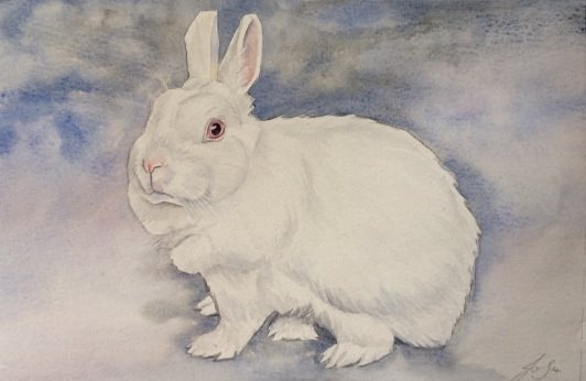 532x346 Beautiful Watercolour Of A White Rabbit, Uk. Commission From Italy - White Rabbit Painting