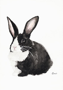 212x300 Black And White Rabbit Paintings Fine Art America - White Rabbit Painting