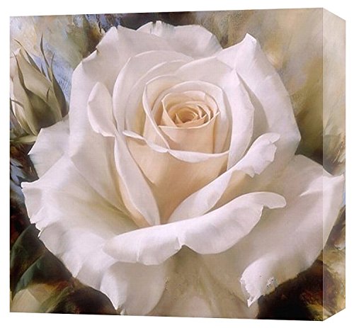 White Rose Oil Painting