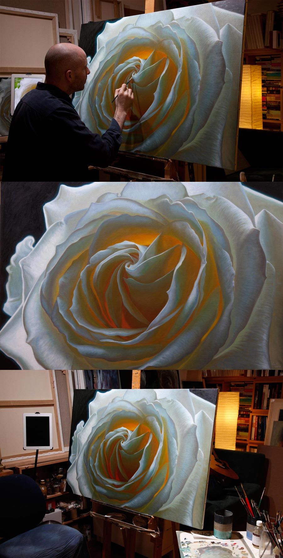 900x1774 Oil Painting Of A White Rose, By Artist Vincent Keeling Www - White Rose Oil Painting