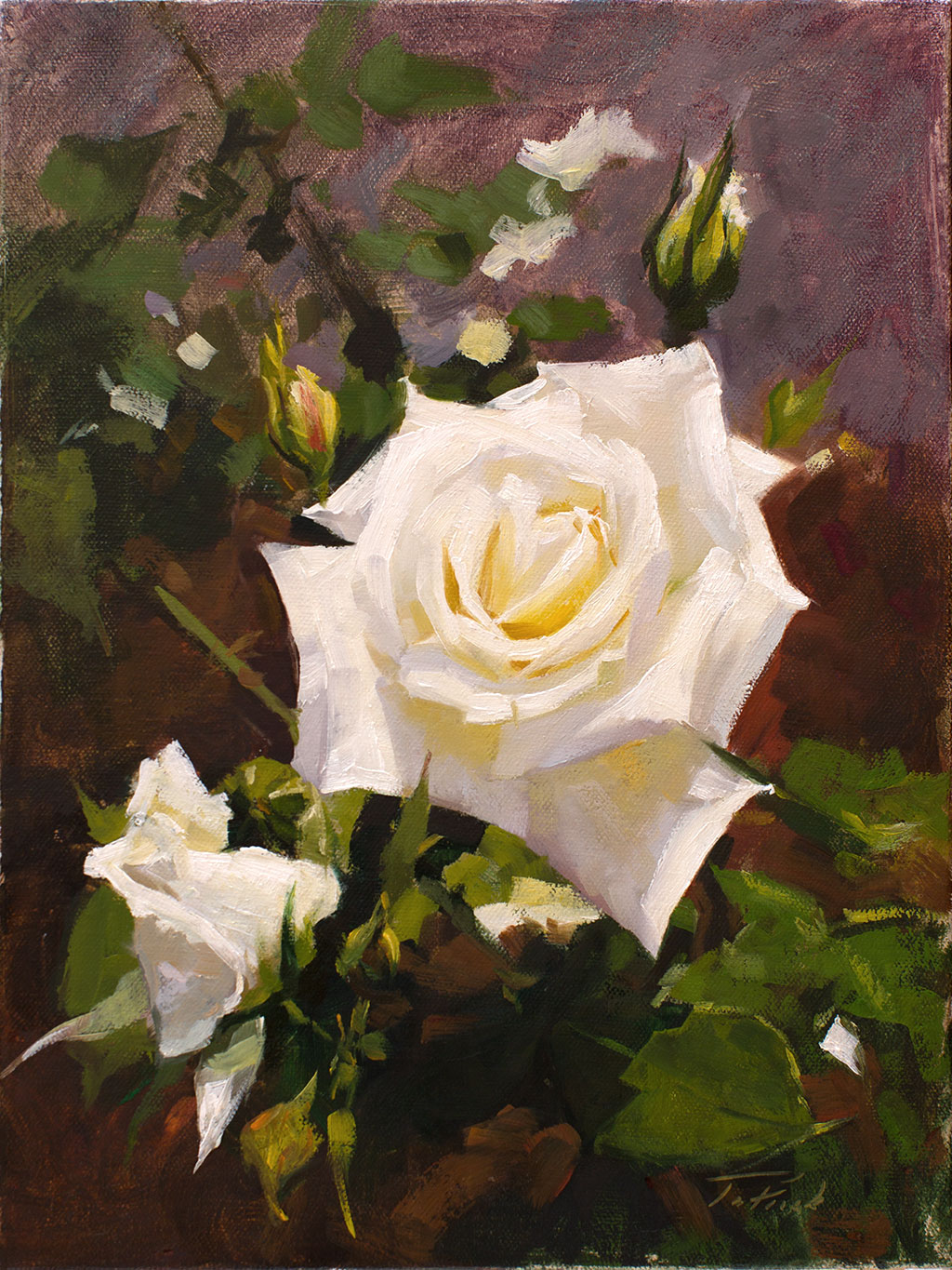 1024x1365 Patrick Saunders Fine Arts - White Rose Oil Painting