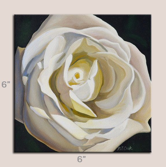 575x579 Rose Flower - White Rose Oil Painting