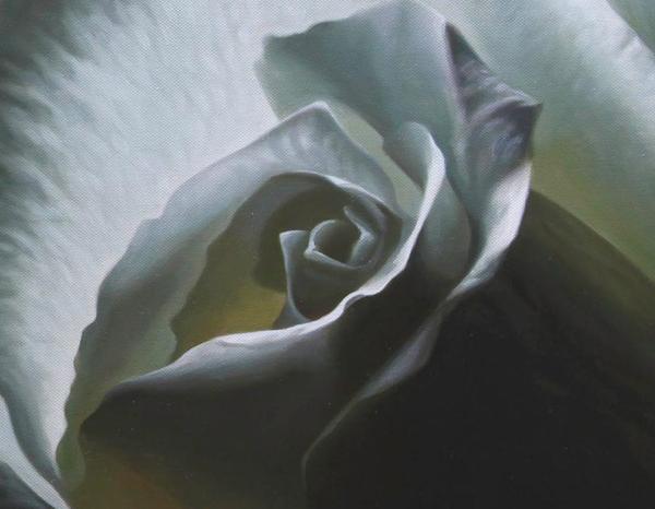600x466 Still Waters, White Rose - White Rose Oil Painting